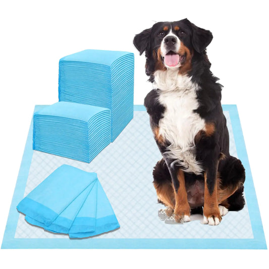 Extra-Large Dog Pee Pads – 80 Count Leak-Proof XL Training Pads (31"×35") for All Breeds & Multi-Dog Homes